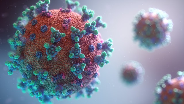 Blog: Virus Variants & Vaccines